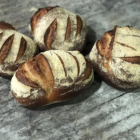 Arok Hotel Strasbourg